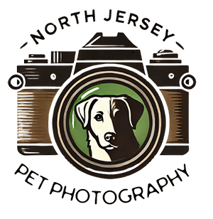 North Jersey Pet Photography